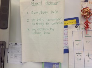 project behavior